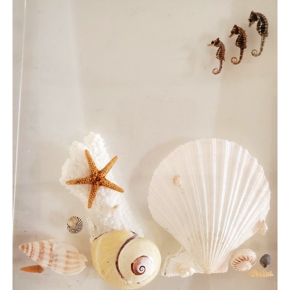 1970 Lucite Acrylic Bookends Nautical Ocean Beach Seashells Seahorses Starfish - Picture 7 of 16
